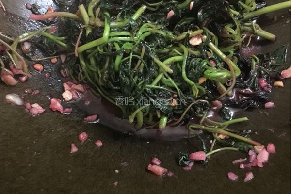 豆酱紫苋菜的做法图解8