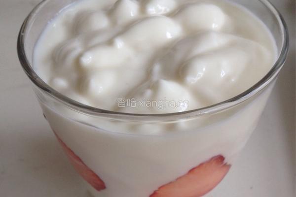 杯壁水果酸奶的做法图解3