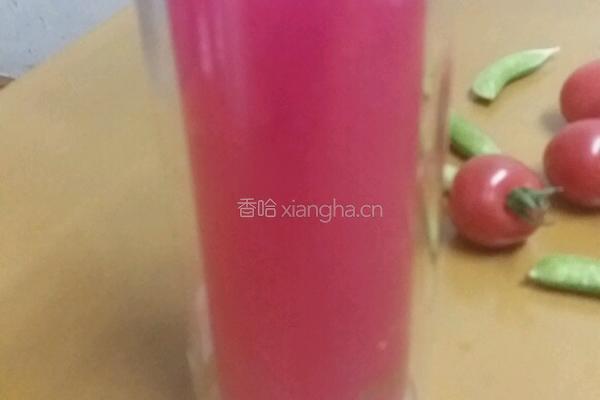 火龙果皮汁的做法图解4