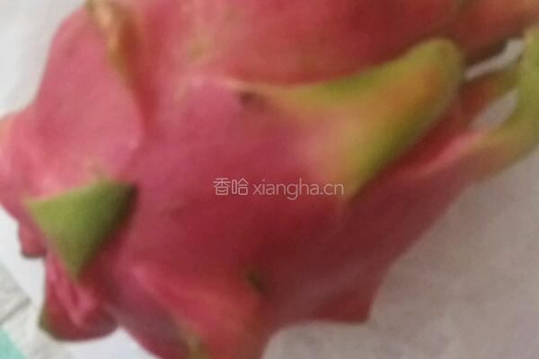 火龙果皮汁的做法图解1