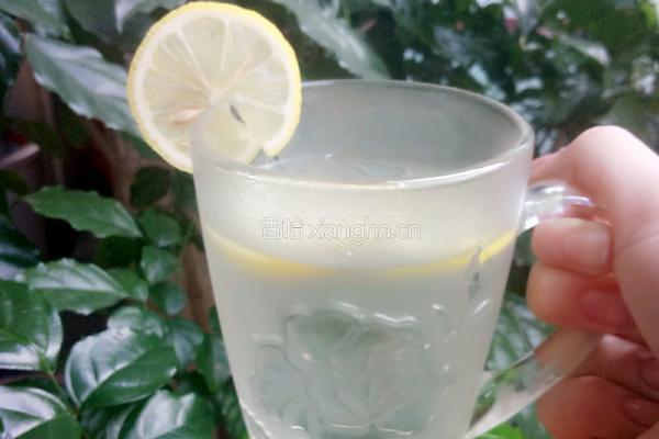 柠檬水的做法图解4