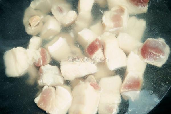 猪肉炖土豆的做法图解4