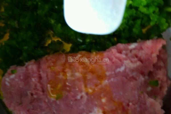 青椒肉馅包子的做法图解5