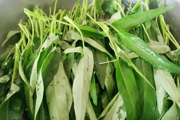 蒜香空心菜的做法图解1