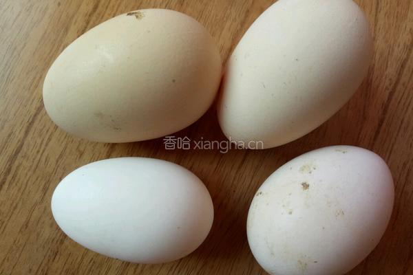 番茄卷的做法图解3