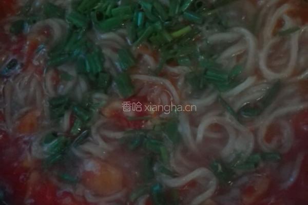 浓香茄汁儿鱼面的做法图解8