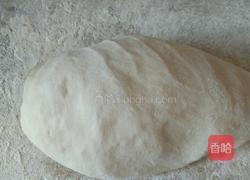 韭菜鸡蛋饺子的做法图解9