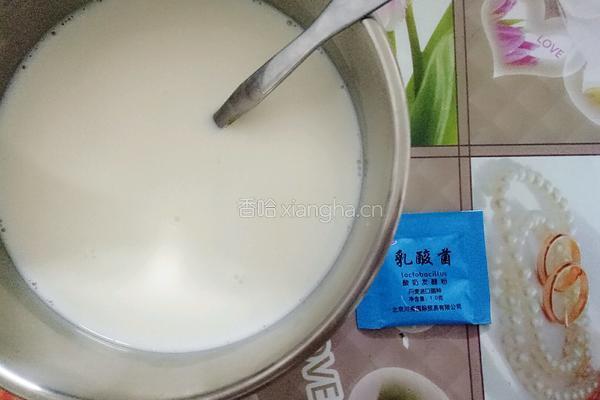 自制酸奶的做法图解5