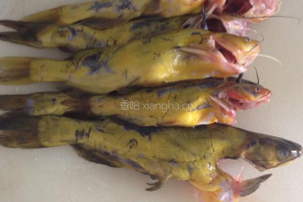 豆瓣戈雅鱼的做法图解1