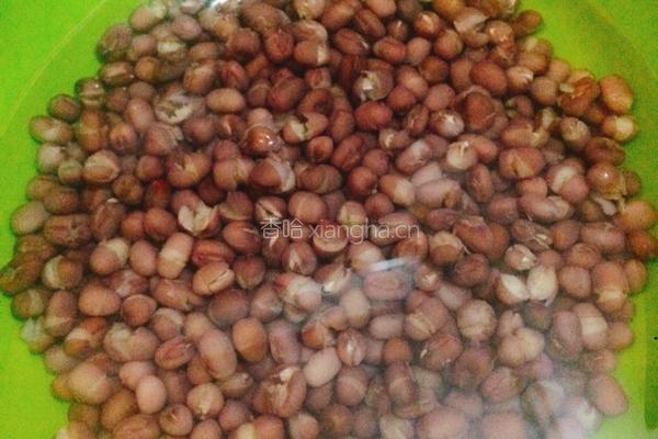 蜜红豆的做法图解5