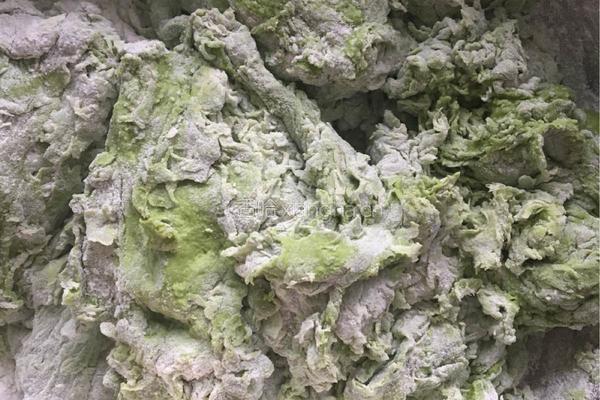 白菜饺子的做法图解4