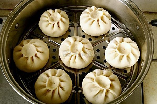 猪肉芸豆大包子的做法图解23