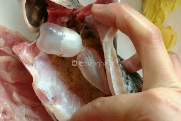 鱼腥草瘦肉鲫鱼汤的做法图解2