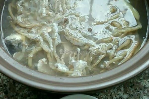鱼腥草瘦肉鲫鱼汤的做法图解5