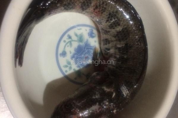 黑豆小麦旱莲草生鱼汤的做法图解1