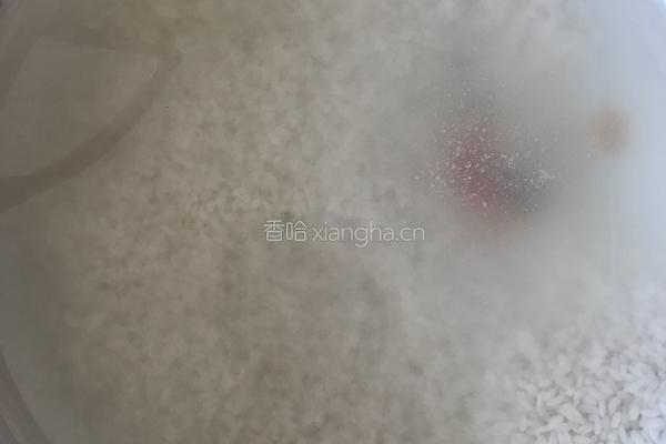 羊肉抓饭的做法图解1