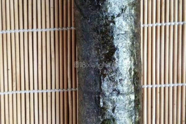 蔬菜寿司卷的做法图解5