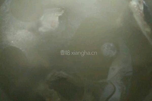 排骨苦瓜汤的做法图解2