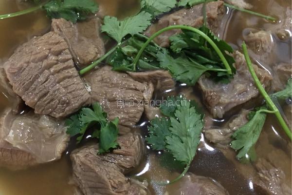 清炖牛肉的做法图解10