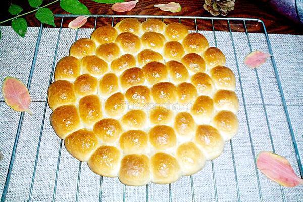 金钱小面包的做法图解15