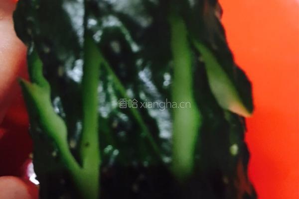 凉拌黄瓜花的做法图解4