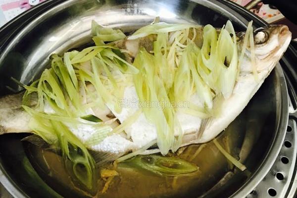 清蒸武昌鱼的做法图解4