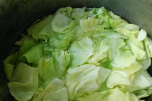 凉拌洋白菜的做法图解7
