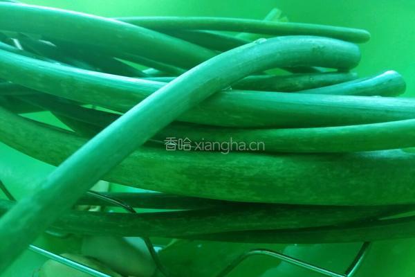 老屋私房菜 洋葱管炒鸡蛋的做法图解1