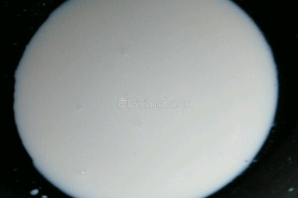 西瓜水蜜桃布丁（不加吉利丁片的）的做法图解5