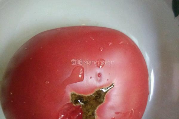 西红柿炖豆皮的做法图解3