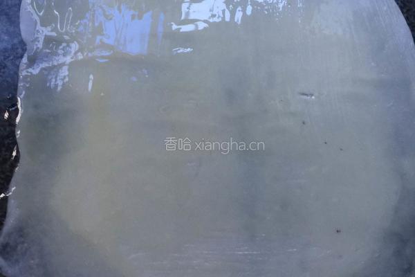 手抓饼胚的做法图解9