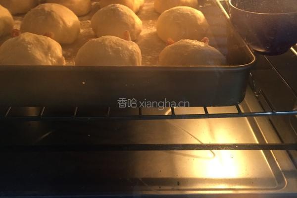 巧克力酱挤挤面包（纯手揉面包）的做法图解6