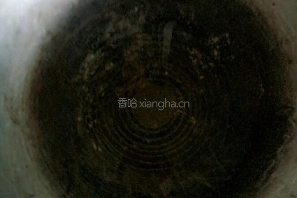 西红柿鸡蛋盖饭的做法图解4
