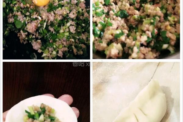 小葱芹菜肉饺子的做法图解10