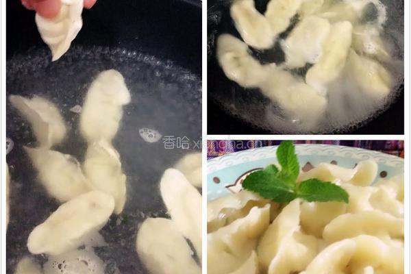 小葱芹菜肉饺子的做法图解12