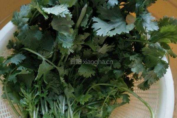 凉拌香菜的做法图解1