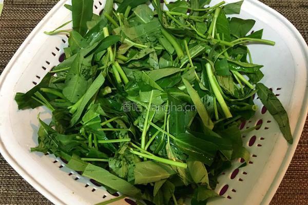 蒜蓉空心菜的做法图解1
