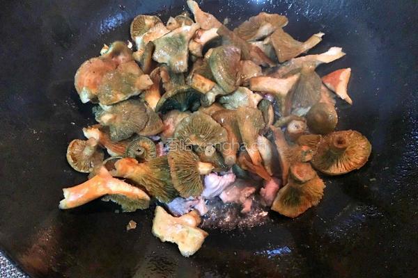枞菌肉片汤的做法图解4