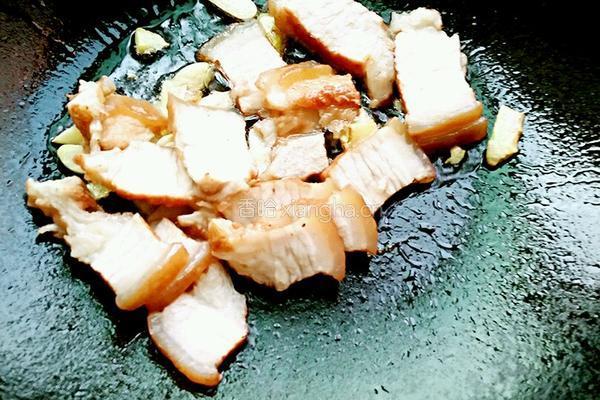 双椒夺魁(辣椒回锅肉)的做法图解12