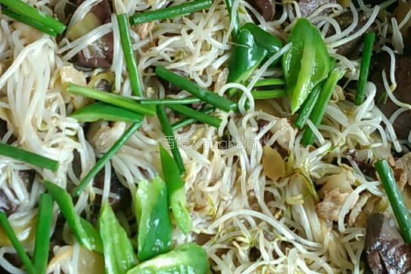 豆芽的做法图解11