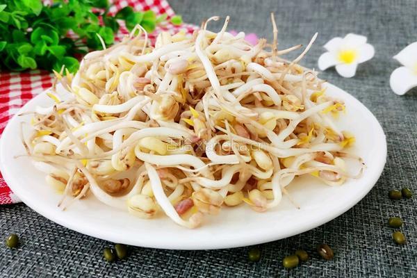 饮料瓶生绿豆芽的做法图解2