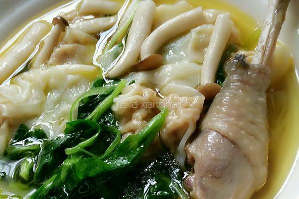 鸡汤虾仁鲜肉馄炖的做法图解6