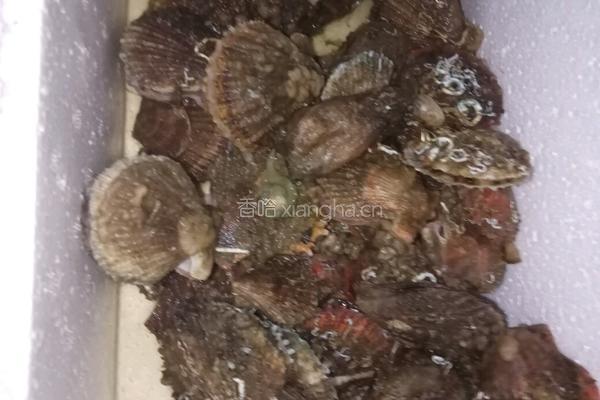 老屋私房菜 油泼蒜香扇贝的做法图解1