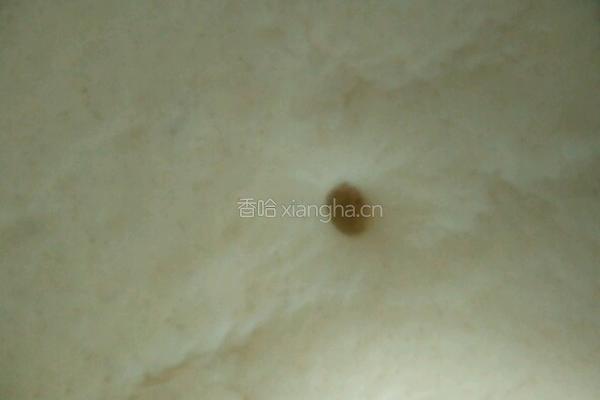 韭菜鸡蛋水煎包的做法图解6