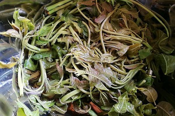 香椿拌豆腐的做法图解1