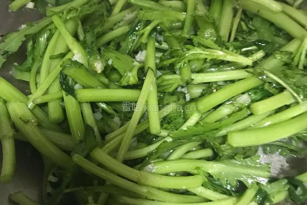 蒜蓉茼蒿的做法图解3