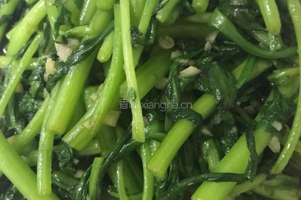 蒜蓉茼蒿的做法图解5