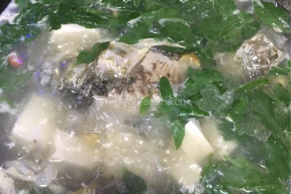 鲫鱼枸杞叶豆腐汤的做法图解5