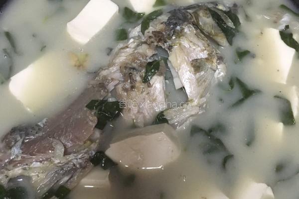 鲫鱼枸杞叶豆腐汤的做法图解6
