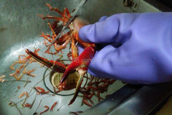 清蒸拼盘虾的做法图解3